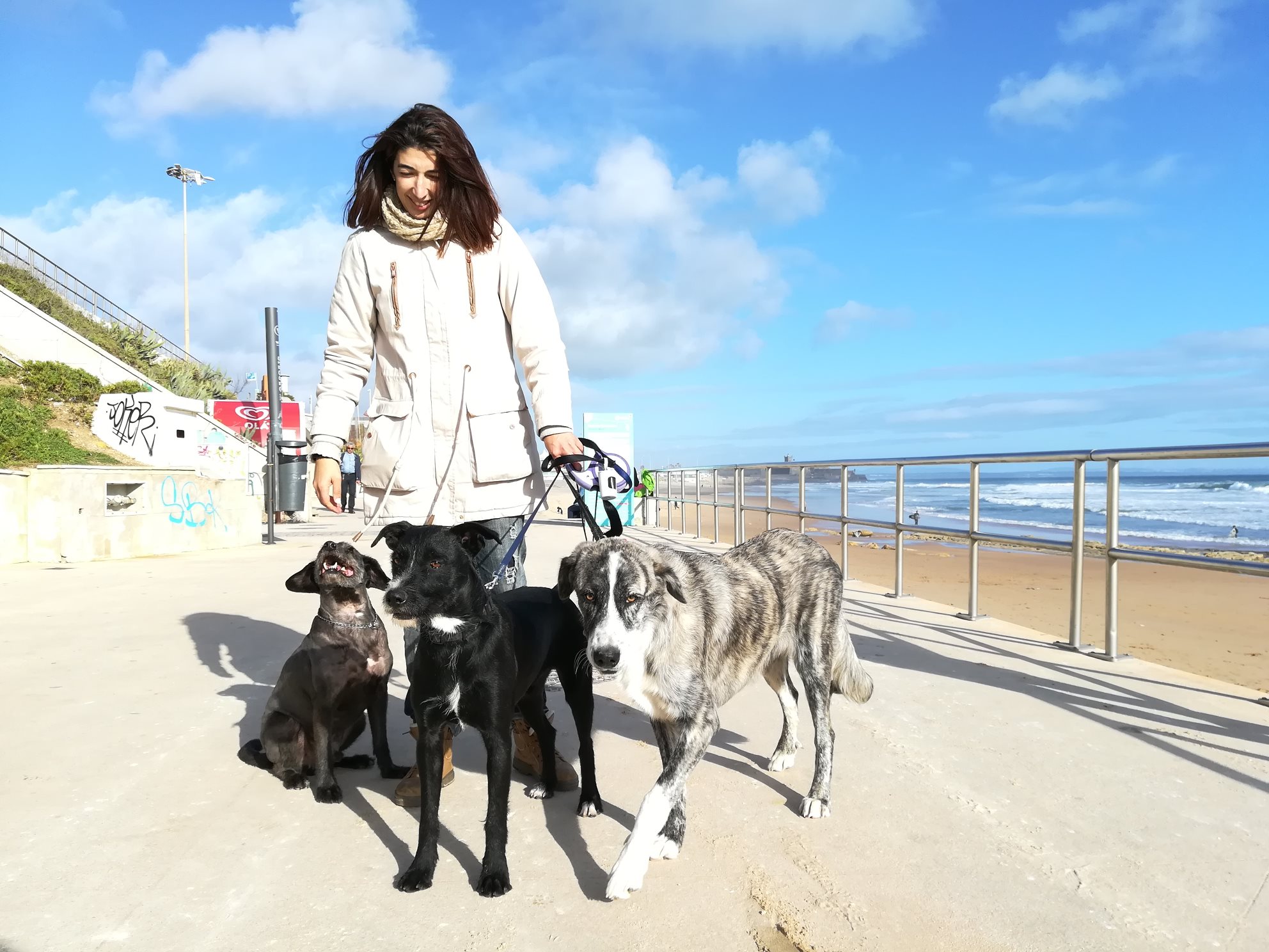 Andreia a passear cães na praia de Carcavelos