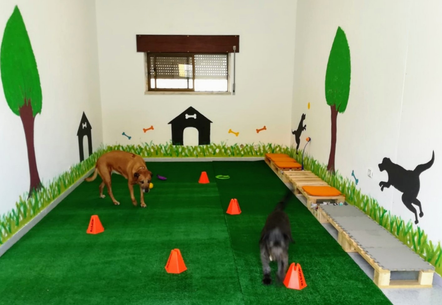Creche para cães
